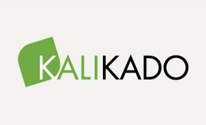 Création de logo pour une agence conseil à Paris